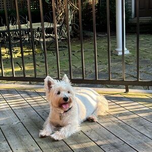 Meet your Posher, Michelle